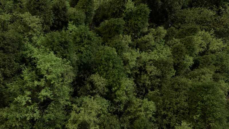 Cover image for Trying my best for photorealism in blender animation!