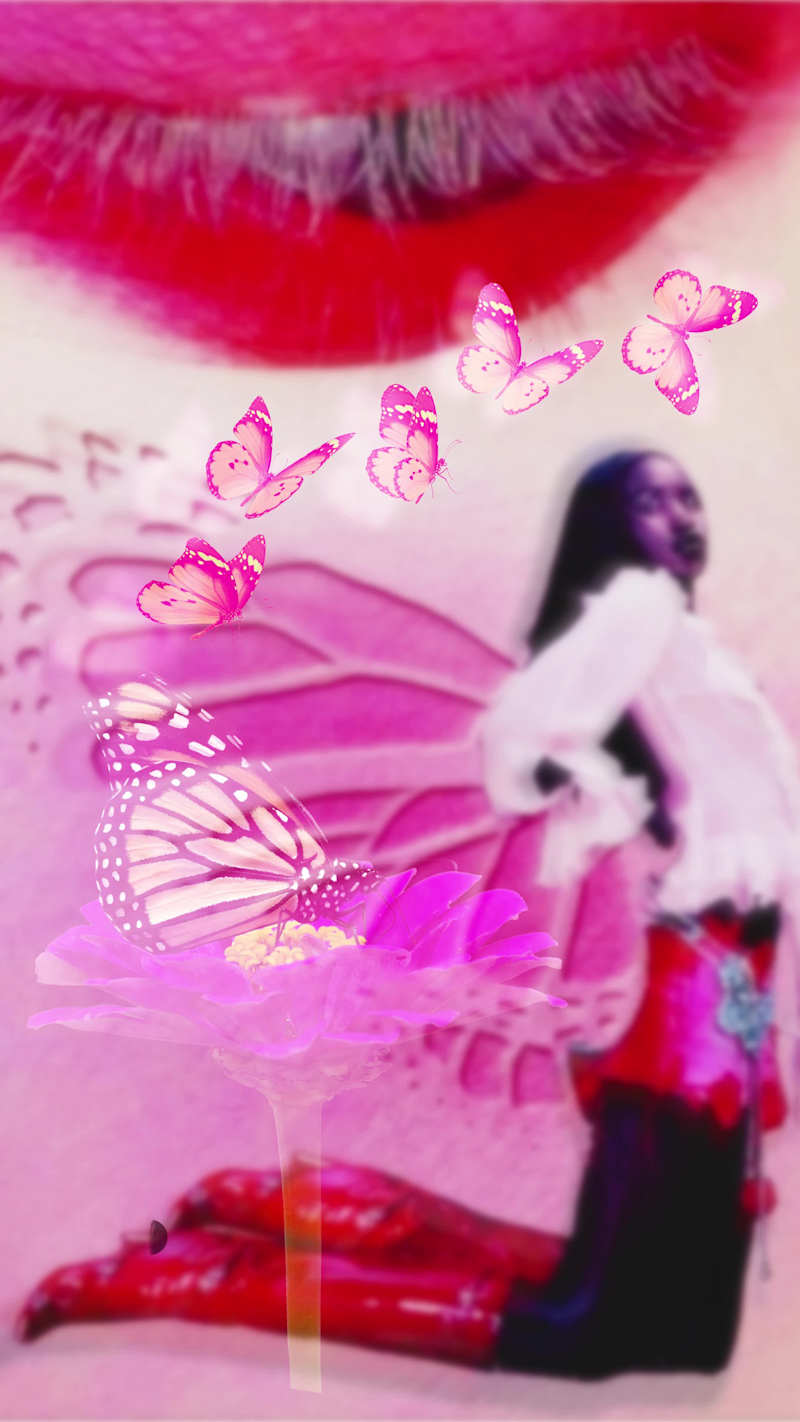 Cover image for Color Alchemy : The Monarch‑Inspired