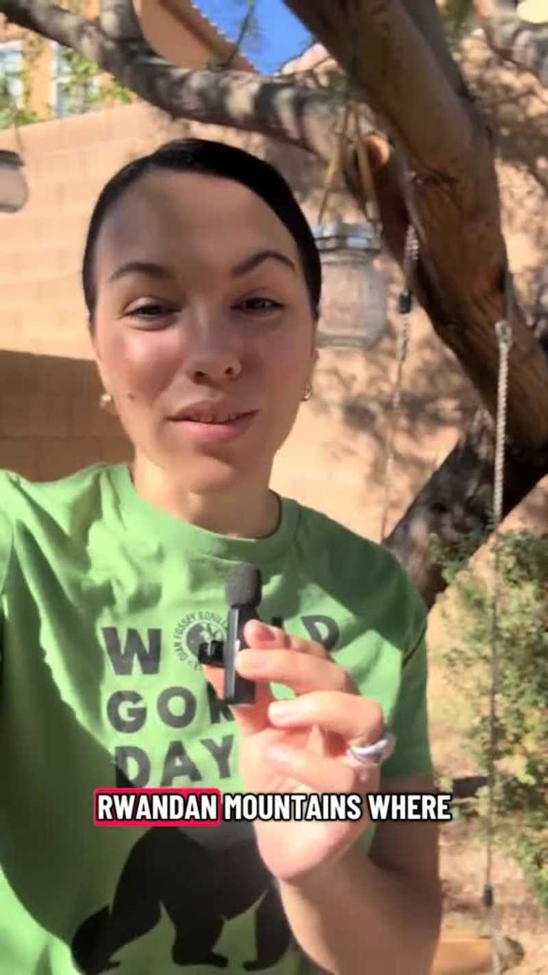 Cover image for I love working with brands on a mission to do good. Blending...