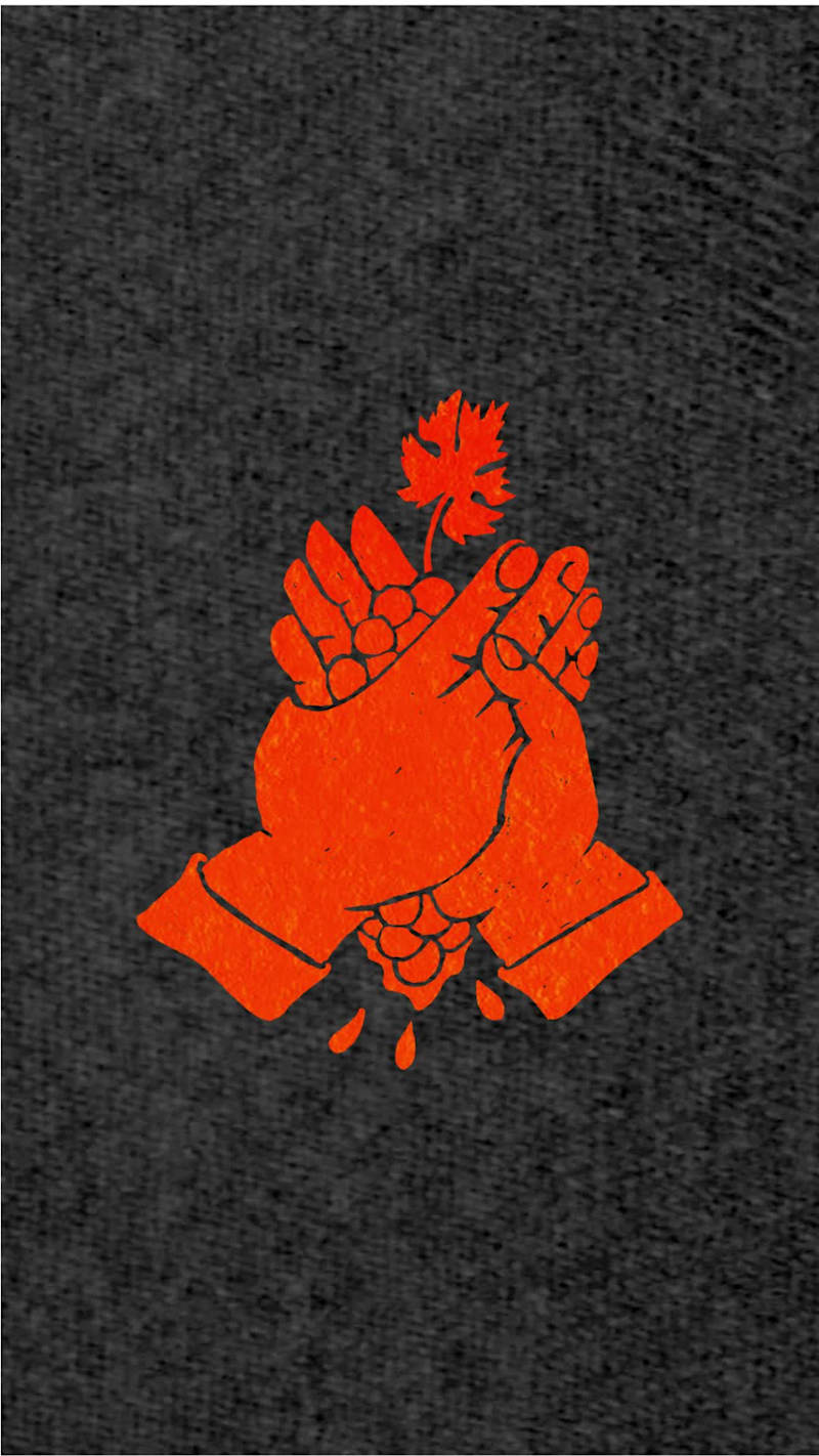 Cover image for Social Media Reels