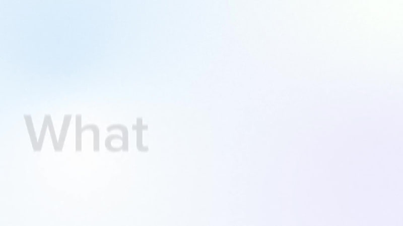 Cover image for We had the privilege of