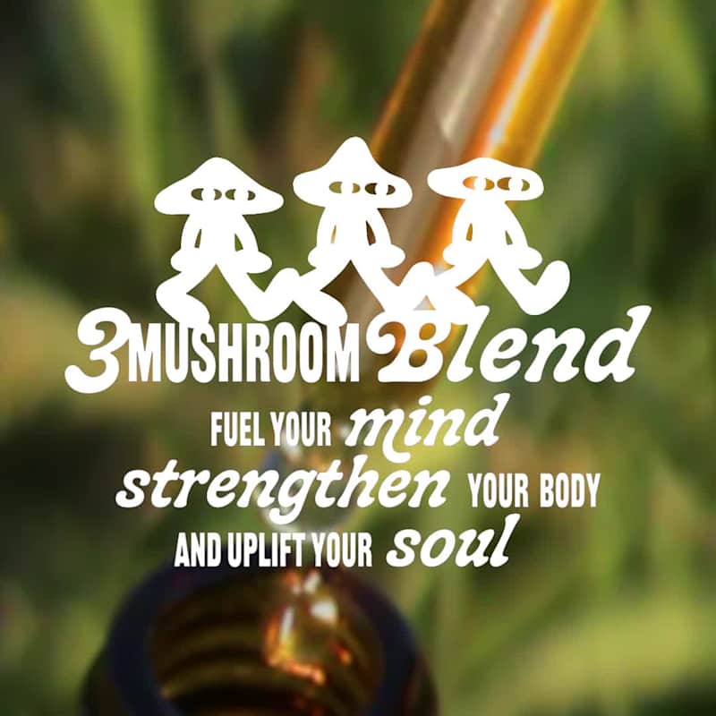 Cover image for With my client Mushroom Compadres, we doubled revenue within...
