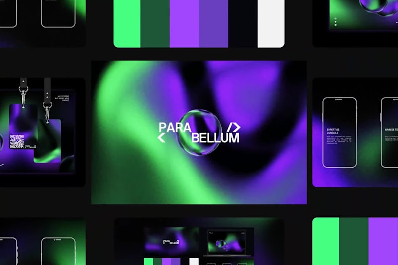 Cover image for Para Bellum — Logo & Brand Identity