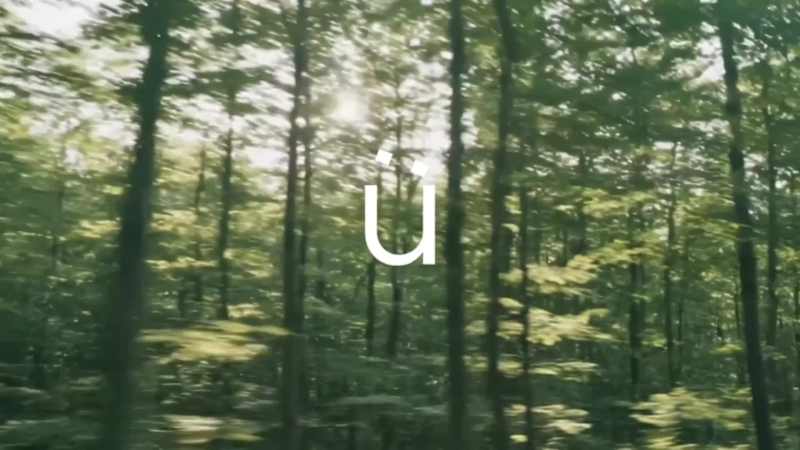 Cover image for Aisu Brand Identity 