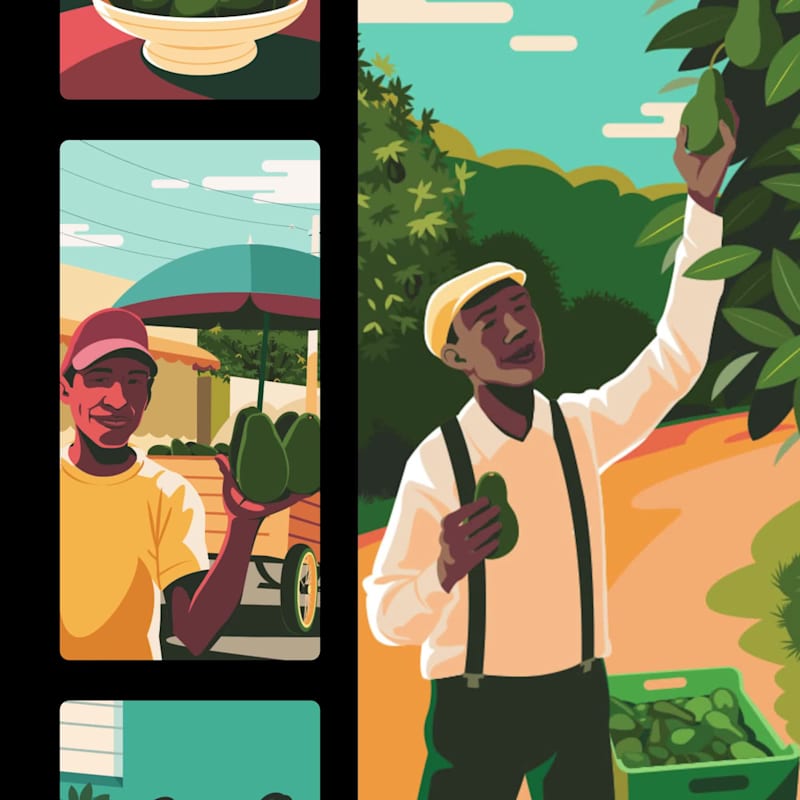 Cover image for Dominican avocados brand identity system