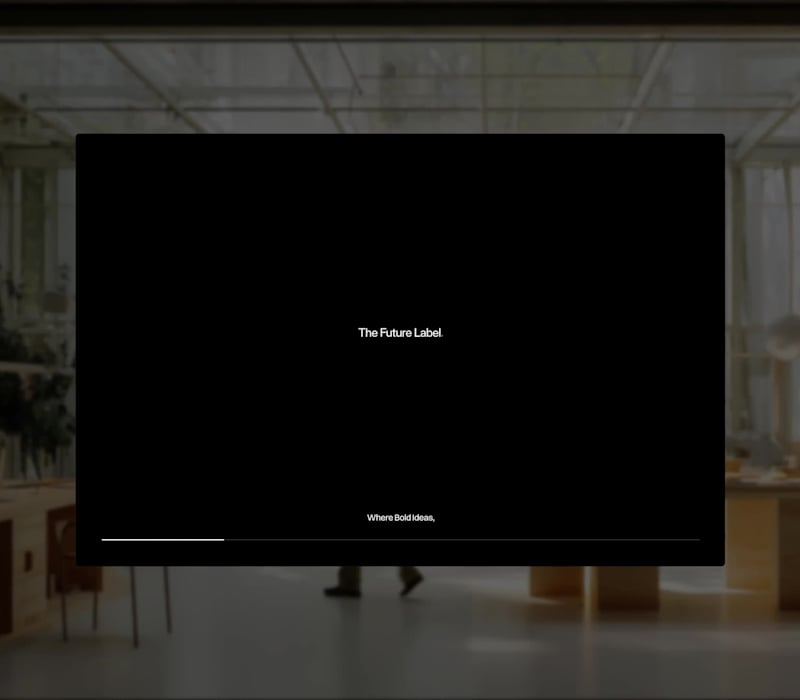 Cover image for Brand Identity and Website Design for The Future Label