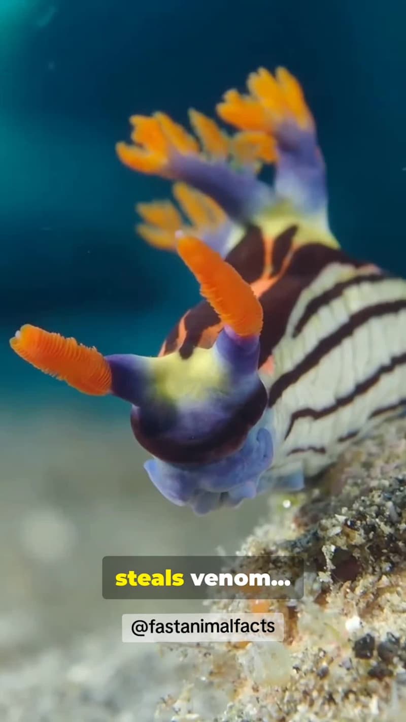 Cover image for In today’s fast-paced world, attention is the most valuable ...