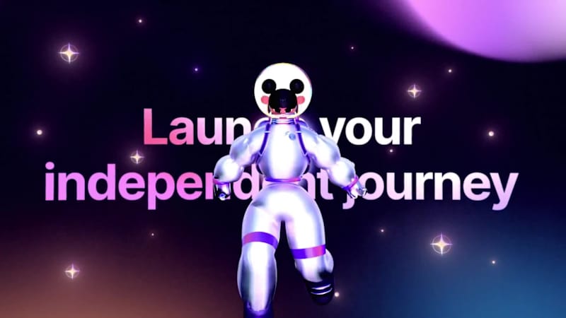 Cover image for Contra Independent Portfolios