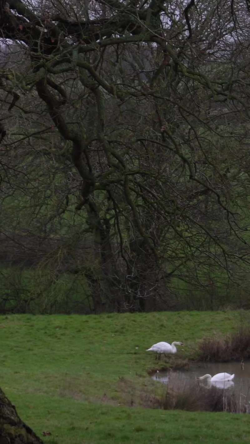 Cover image for outdoorsy cozy timeless visual storytelling;