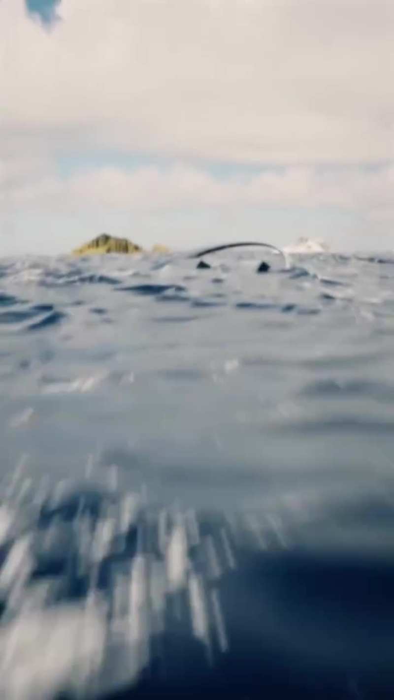 Cover image for Bring your brand to life with stunning 3D animation.