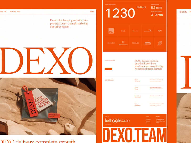 Cover image for Dexo Website Design and Development