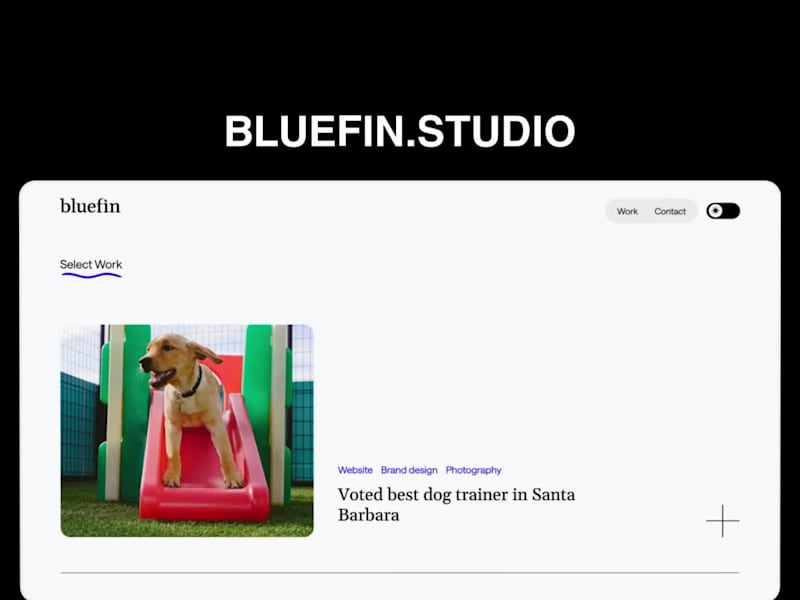 Cover image for Bluefin Studio — Webflow Development
