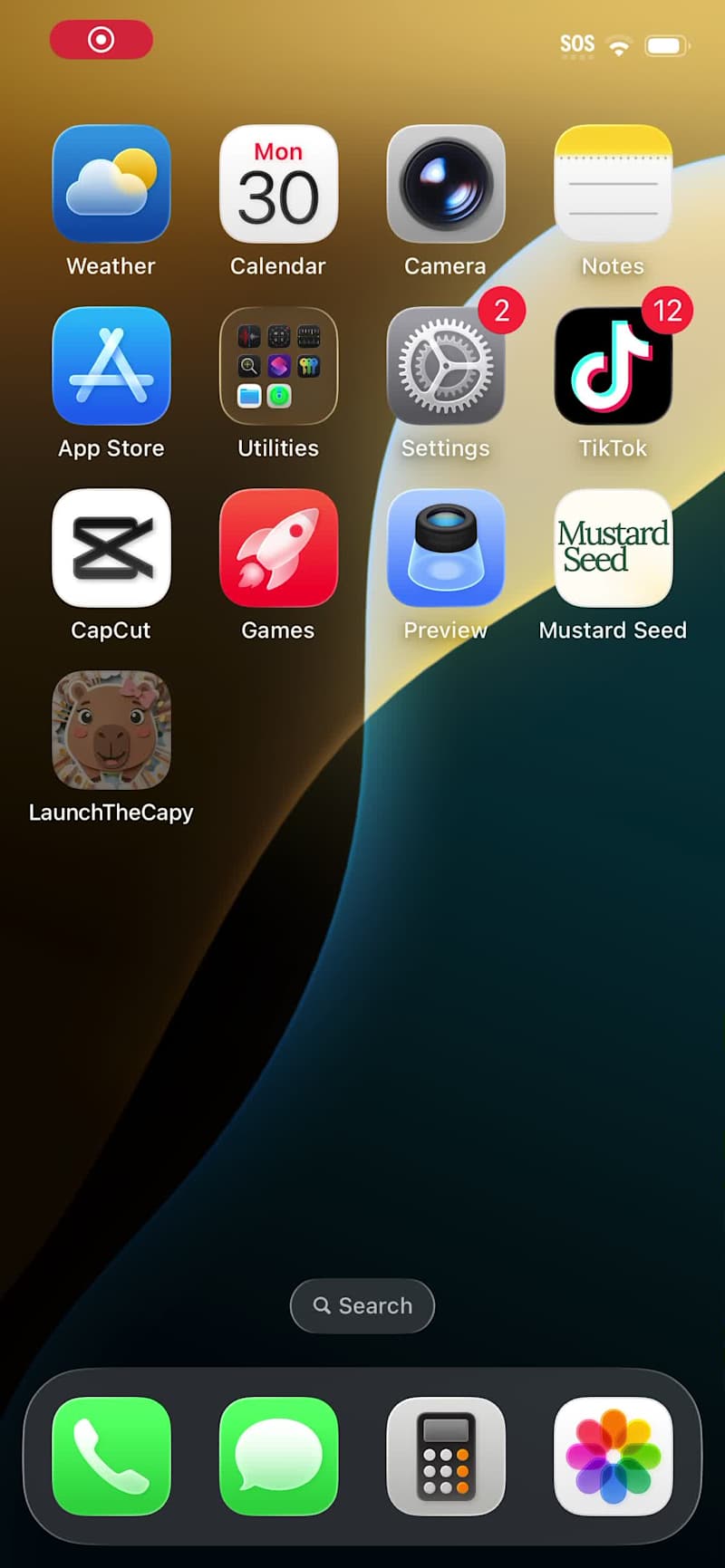 Cover image for Can you help Capy reach