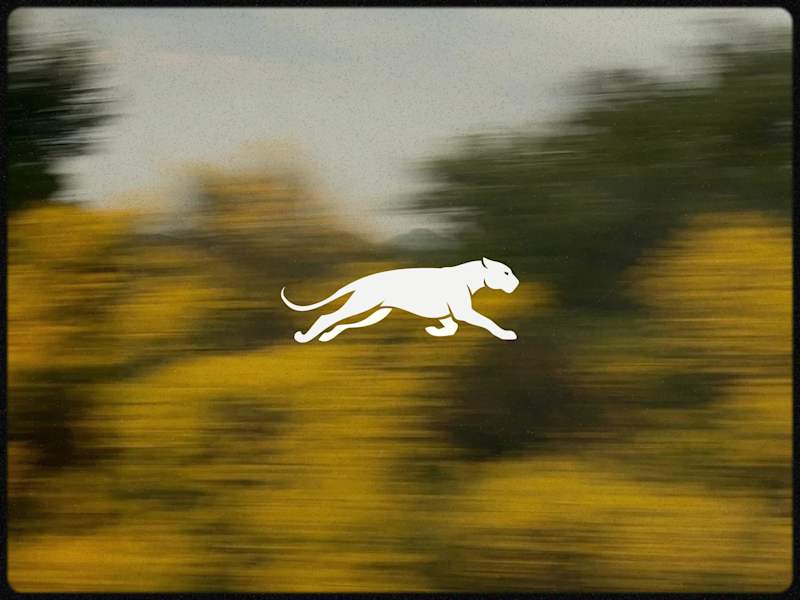 Cover image for Jaguar Logo.