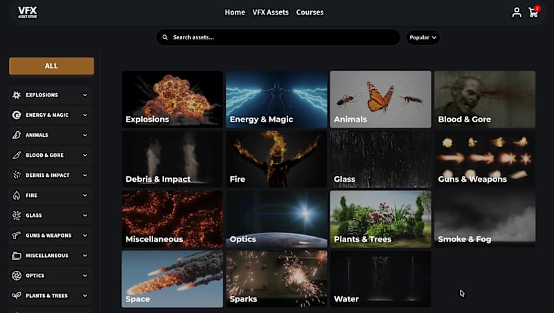 Cover image for Custom Shopify VFX Marketplace – Advanced Catalog Architecture