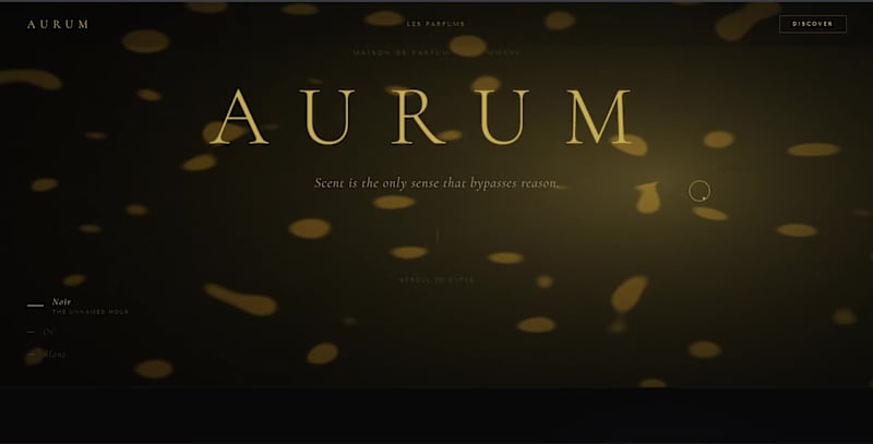 Cover image for Just launched my first digital