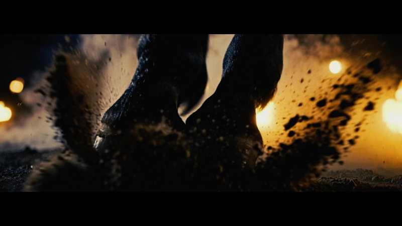 Cover image for Year of the Fire Horse.
Rapid