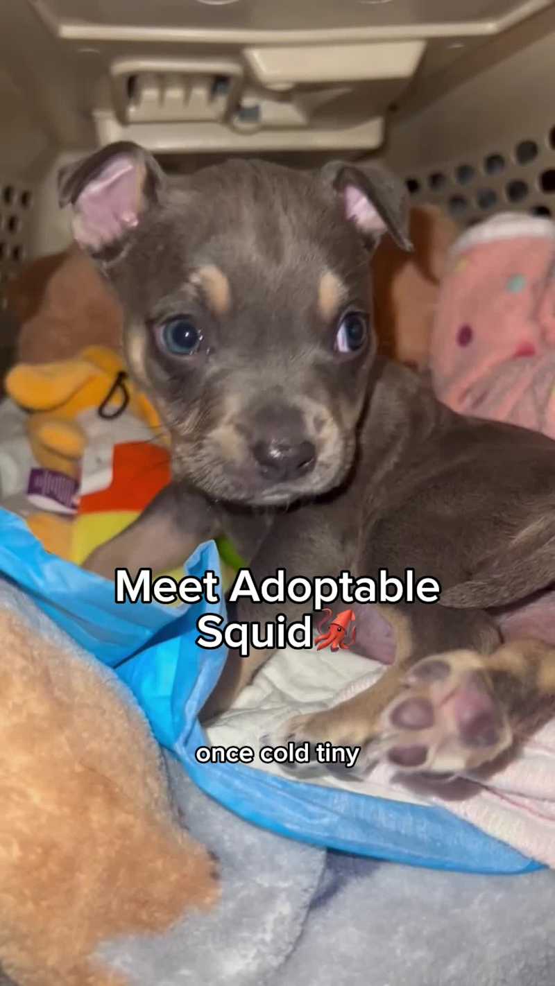 Cover image for Since December 2024, I have been a content creator (retainer...