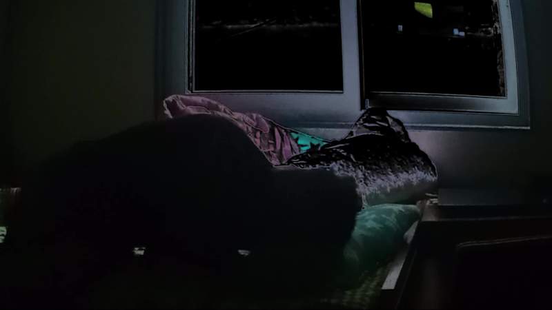 Cover image for this is my own youtube video