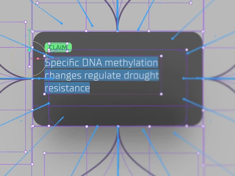 Cover image for Fylo Card Animations