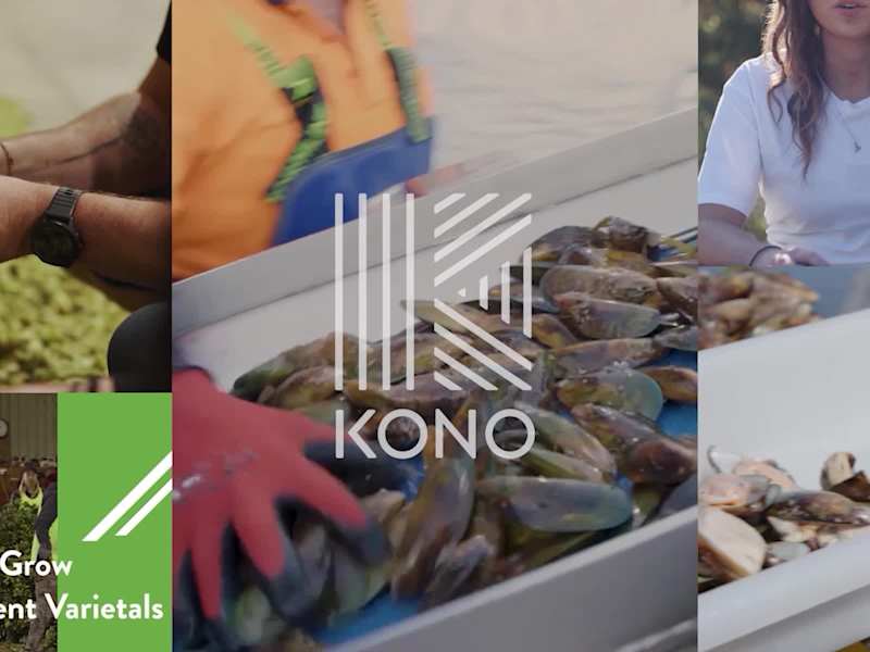 Cover image for Kono Team Takeover: Social Media Campaign Compilation