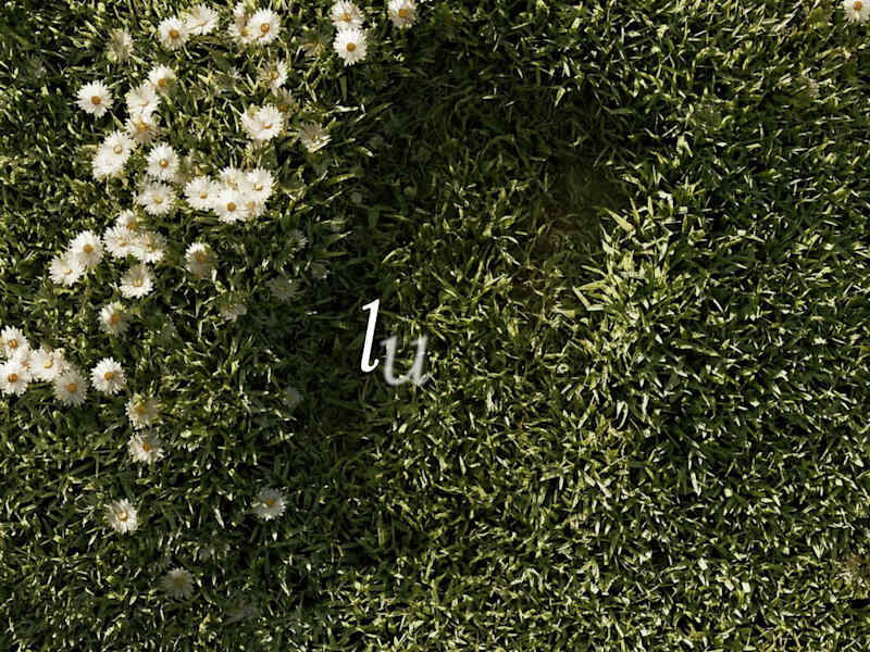 Cover image for Luna: Mobile UI/UX Design