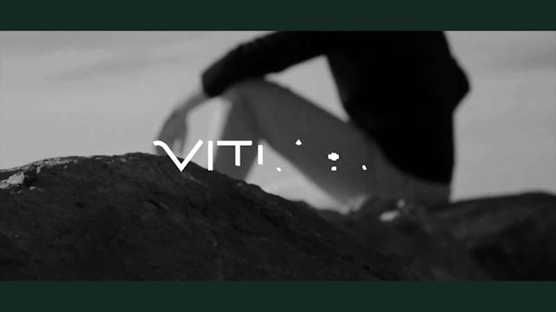 Cover image for Vittaru