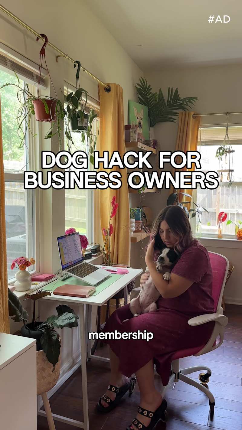 Cover image for After being a dog foster parent for the last three years, I'...