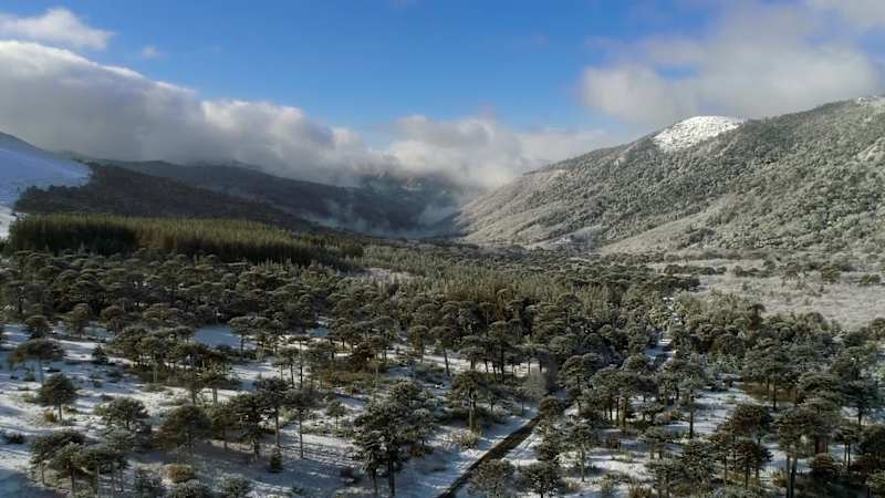 Cover image for This mountain resort in southern Chile is inspired by the in...