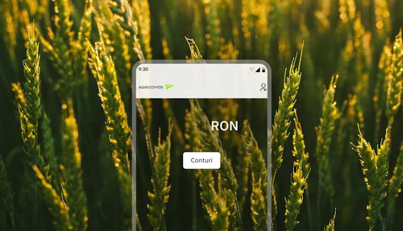 Cover image for Quick sneak peek of some