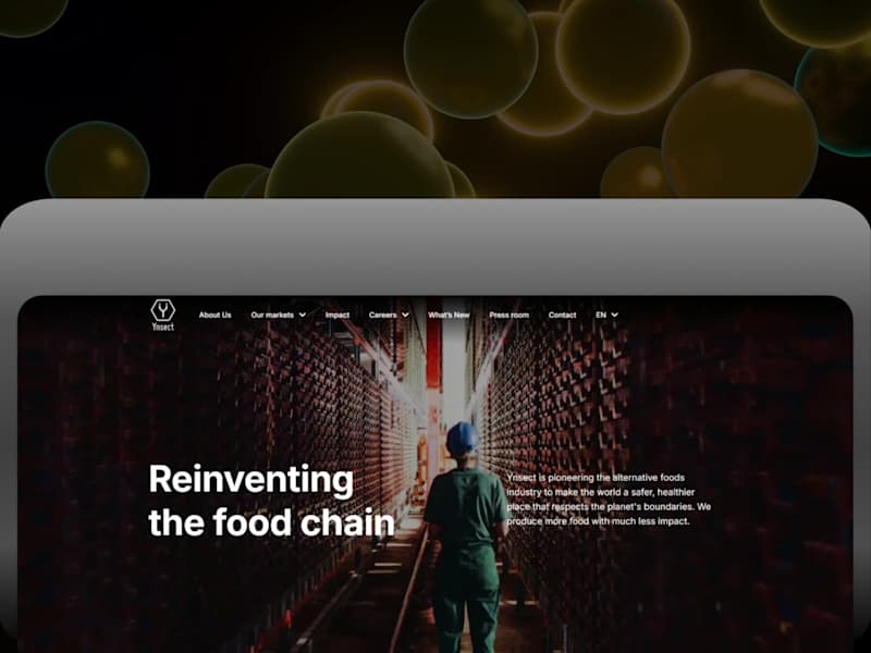 Cover image for The Ÿnsect website is a