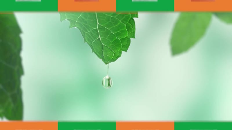 Cover image for Tic Tac Dubai