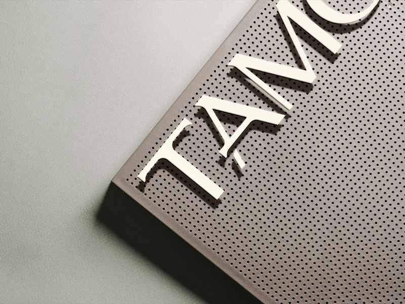 Cover image for Full branding and visual identity for Tamodi.