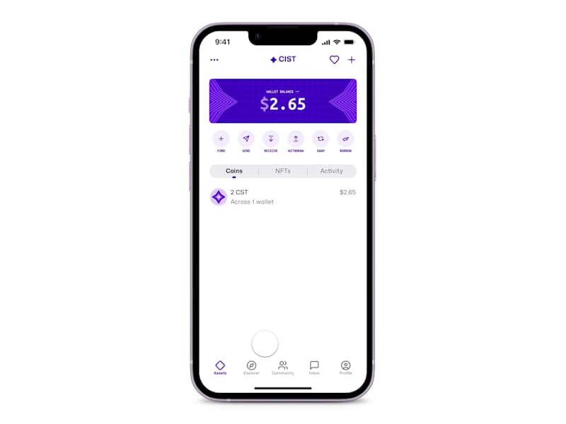 Cover image for Import your wallet to Cist