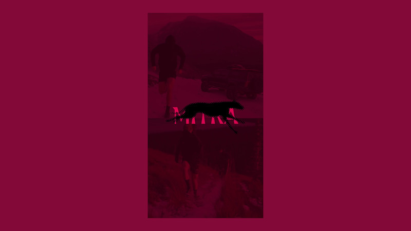 Cover image for MITRA — Visual Identity & Branding