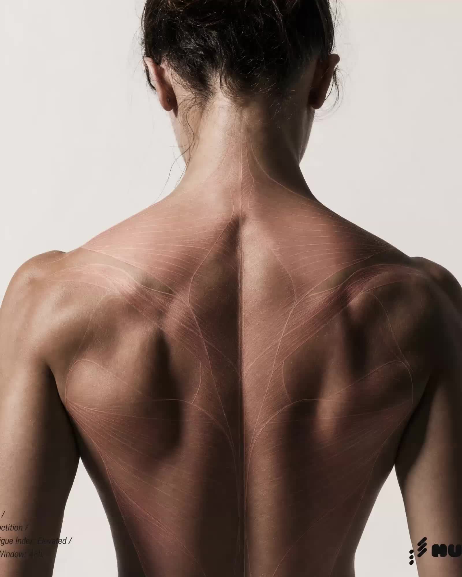 MUSCL: The Body as Evidence