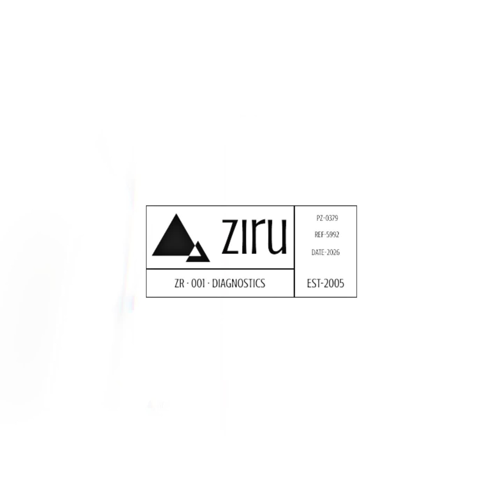Ziru Identity System Development