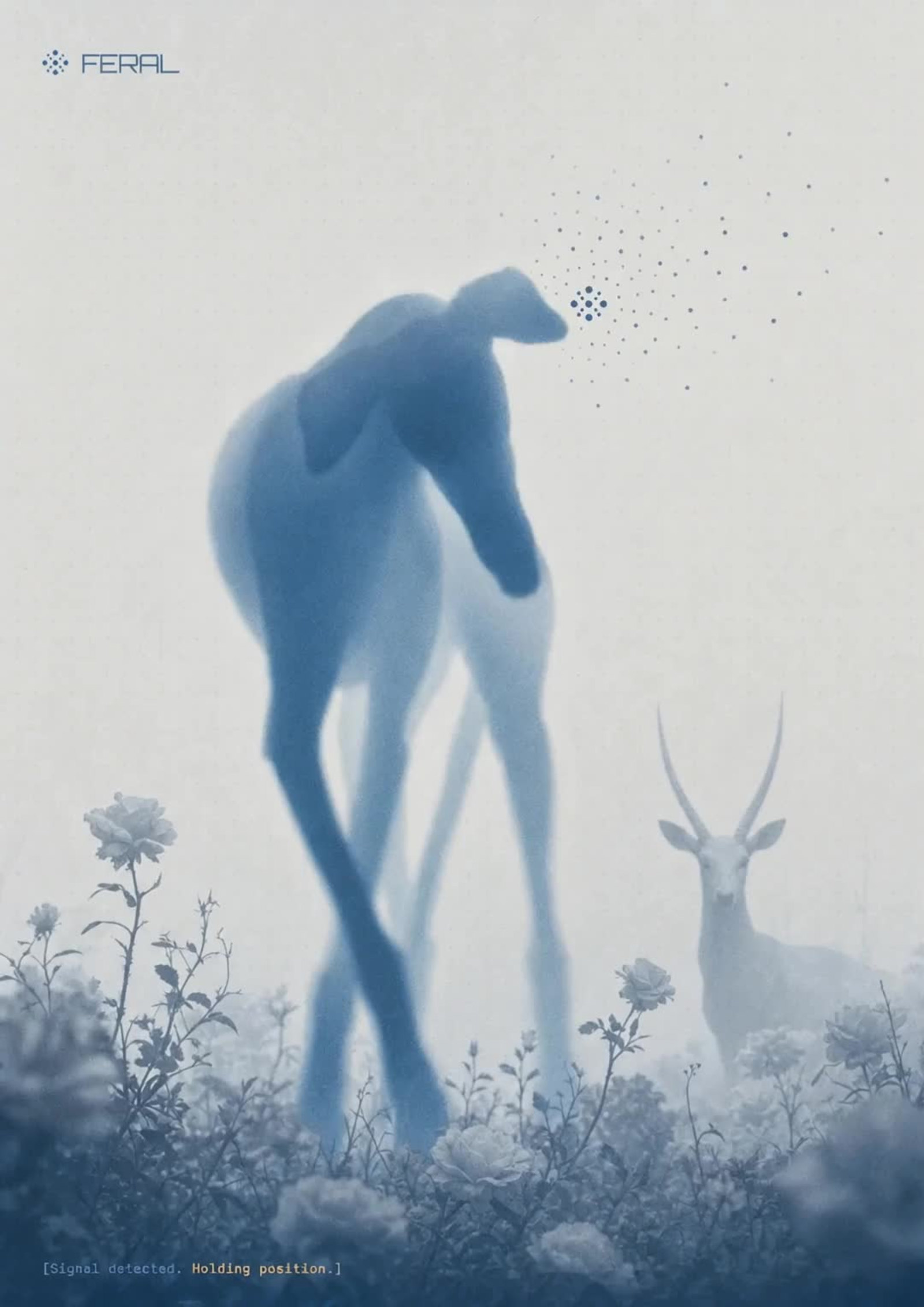 FERAL — Intelligence, Undomesticated