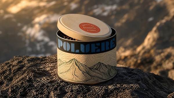 POLVERE Brand Identity Design & Website