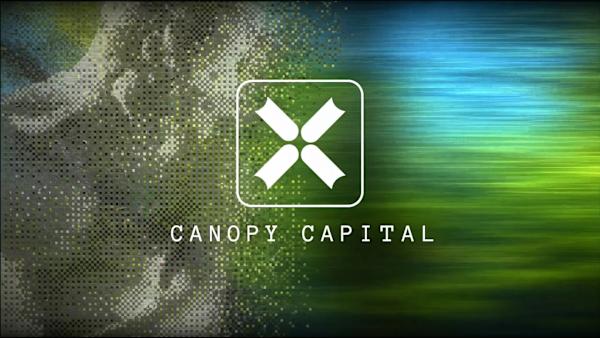 Canopy Capital Brand Identity & Website