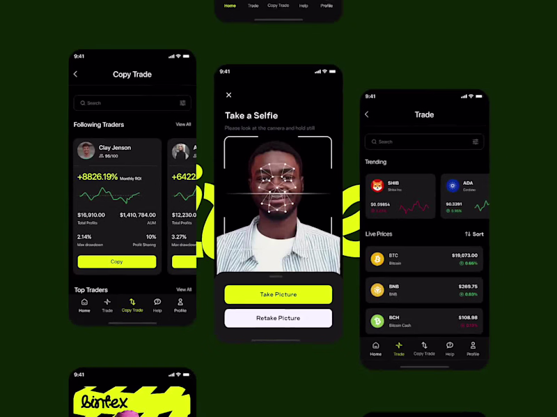 Cover image for Bintex