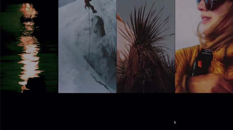 Cover image for Swiss Army Labs - Website