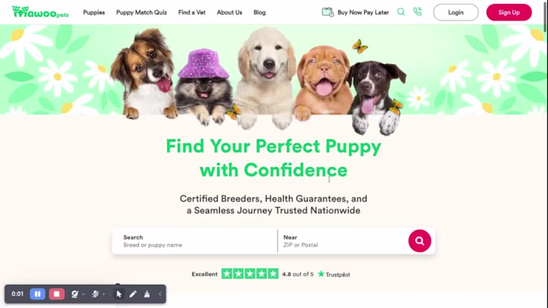 Cover image for Shopify Landing Page Redesign: 20% Conversion Lift