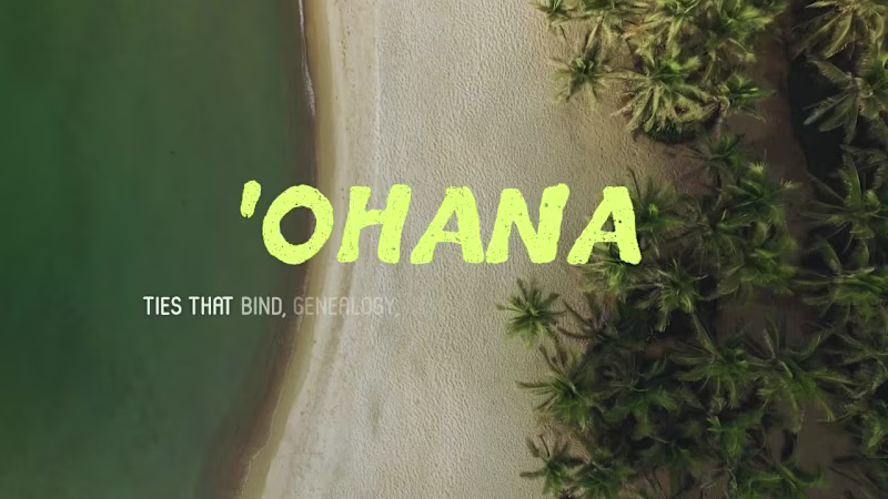 Cover image for Hawaii Tourism Authority: Custom Animated Type