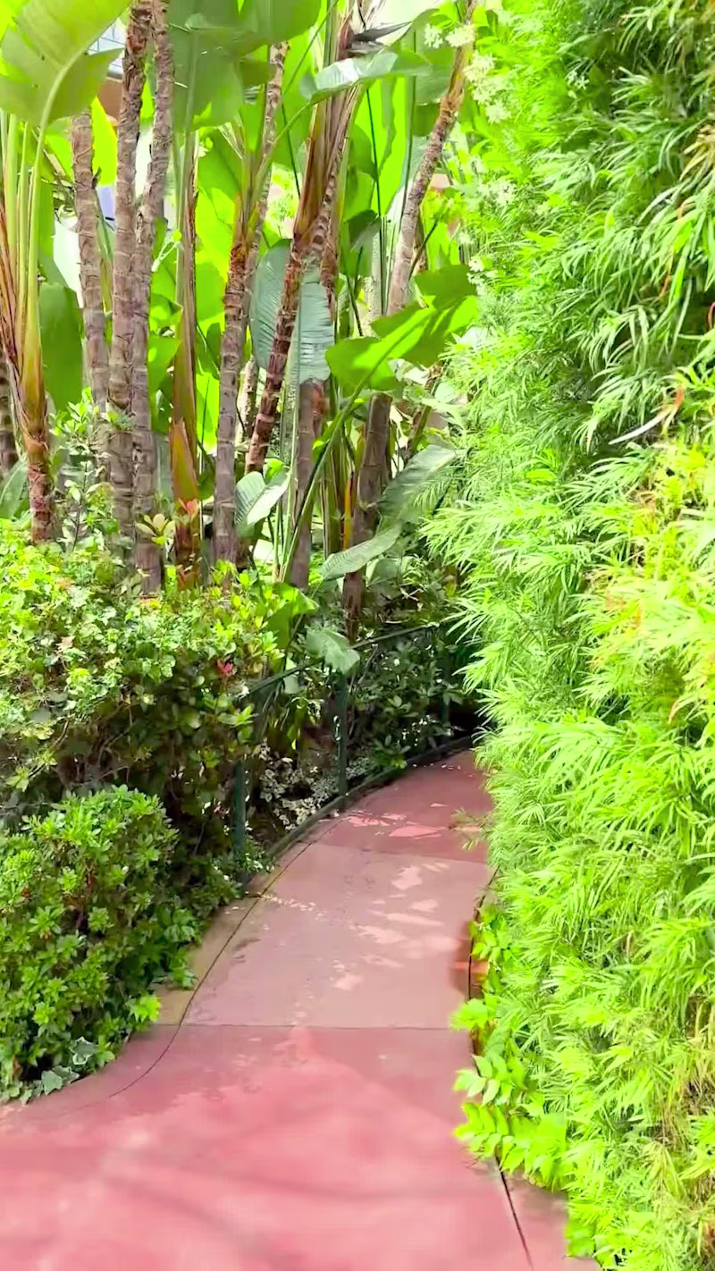 Cover image for Editorial Social Reel – Narrative