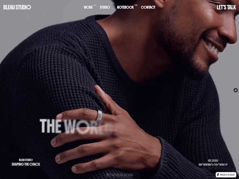 Cover image for Bleau Agency Portfolio Website Design & Development