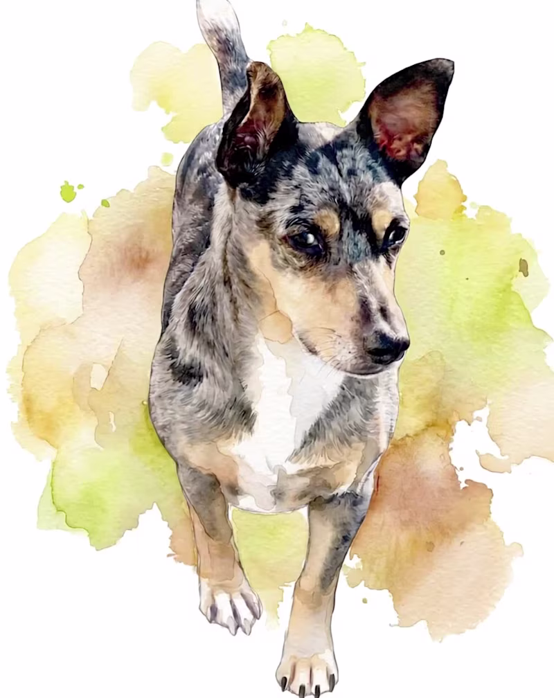 Cover image for This project turns my dog