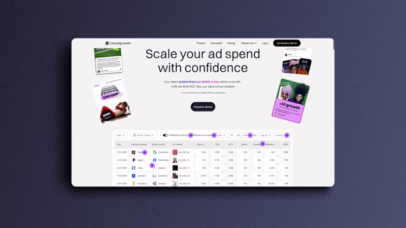 Cover image for Campaingswell Webflow Development