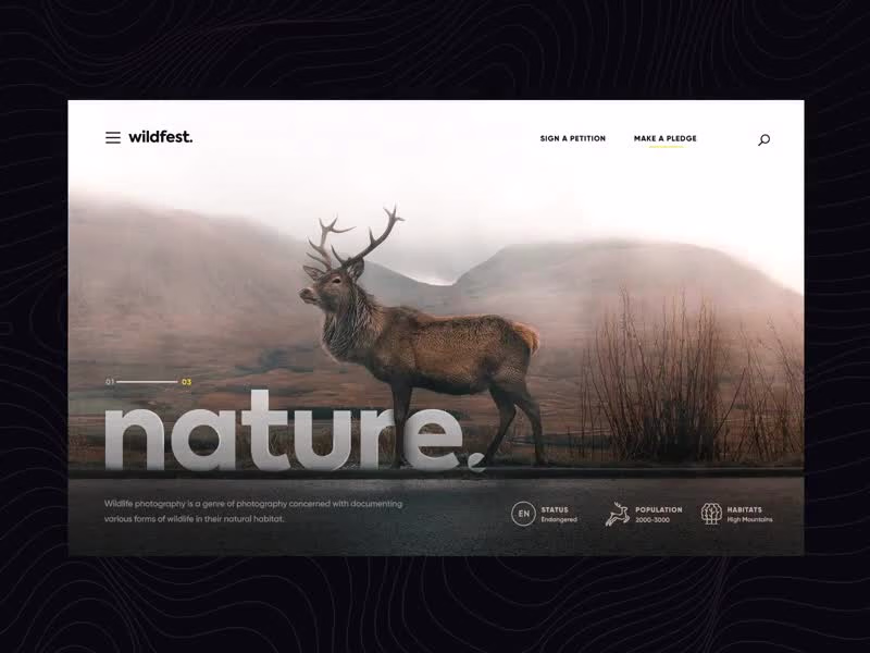 Cover image for Website Interactive Design