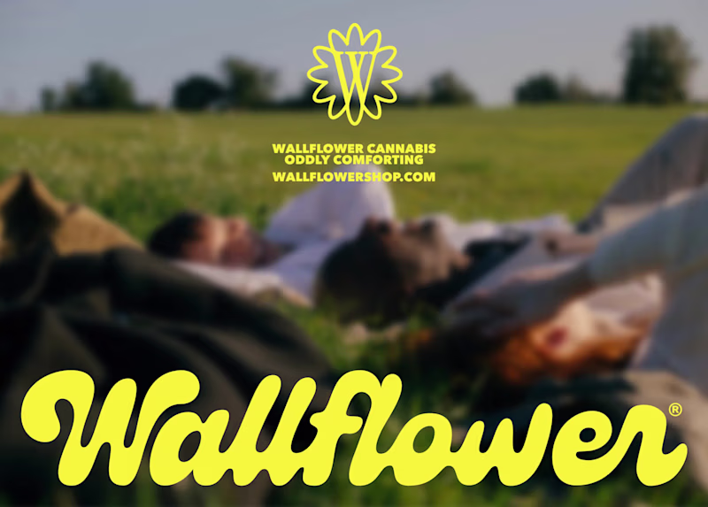 Cover image for Wallflower – Visual Identity
